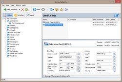SecureSafe Pro Password Manager Displays a Credit Card Data