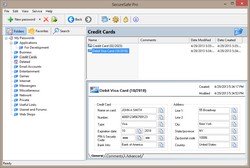 SecureSafe Pro Password Keeper App Displays a Credit Card Data