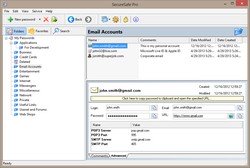 SecureSafe Pro Password Management Software for Windows - Main Window